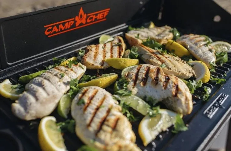 PRO GRIDDLE- 2 BURNERS